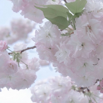 修水福瑞交流群